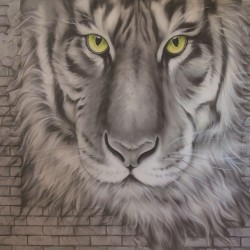 Painel Fotográfico WT-258 - 3,30 x 2,60m (4PCS)