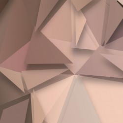 Painel Fotográfico WT-300 - 3,30 x 2,60m (4PCS)