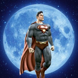 Painel Fotográfico 16D ZHWK-00086 - 3,30 x 2,60m (3PCS)