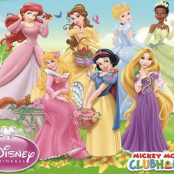 Painel Fotográfico CS-069 - 3,30 x 2,60m (4PCS)