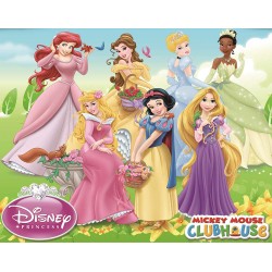 Painel Fotográfico CS-069 - 3,30 x 2,60m (4PCS)