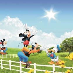 Painel Fotográfico HS258CI - 3,30 x 2,60m (4PCS)