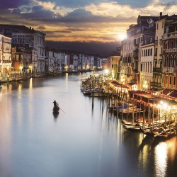 Painel Fotográfico WT-423 - 3,30 x 2,60m (4PCS)