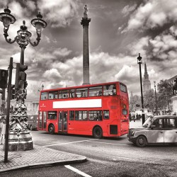 Painel Fotográfico WT-426 - 3,30 x 2,60m (4PCS)