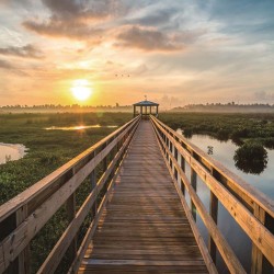 Painel Fotográfico WT-277 - 3,30 x 2,60m (4PCS)