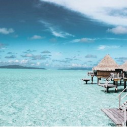 Painel Fotográfico YD5003-15 - 3,30 x 2,60m