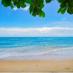 Painel Fotográfico YD5003-16 - 3,30 x 2,60m