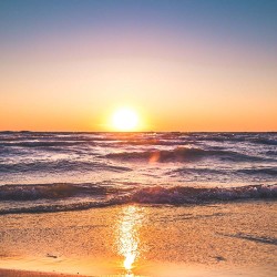 Painel Fotográfico YD5003-20 - 3,30 x 2,60m