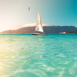 Painel Fotográfico YD5003-23 - 3,30 x 2,60m