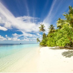 Painel Fotográfico YD5003-27 - 3,30 x 2,60m