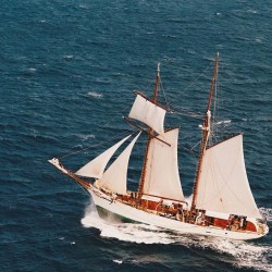 Painel Fotográfico YD5003-32 - 3,30 x 2,60m