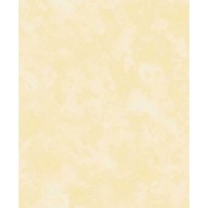 Papel de Parede 3003