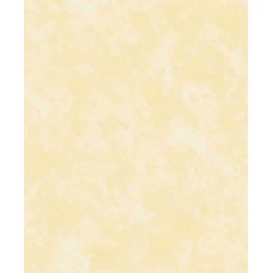 Papel de Parede 3003 Papel de Parede 3003