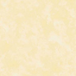 Papel de Parede 3003