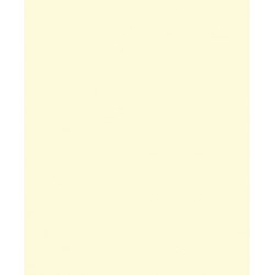 Papel de Parede 5002 Papel de Parede 5002