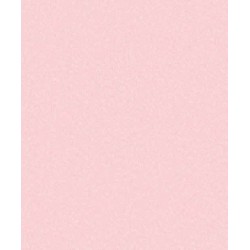 Papel de Parede 5003 Papel de Parede 5003