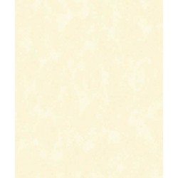 Papel de Parede 5101 Papel de Parede 5101