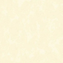 Papel de Parede 5101