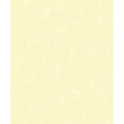 Papel de Parede 5102 Papel de Parede 5102