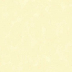 Papel de Parede 5102