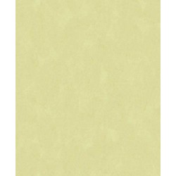 Papel de Parede 5104 Papel de Parede 5104