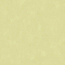 Papel de Parede 5104