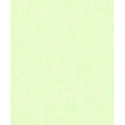 Papel de Parede 5105 Papel de Parede 5105