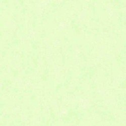 Papel de Parede 5105