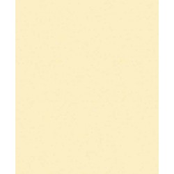 Papel de Parede 6002 Papel de Parede 6002