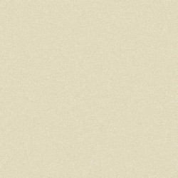 Papel de Parede 6004