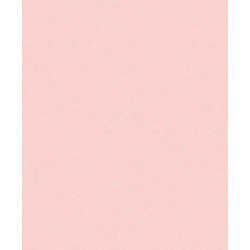 Papel de Parede 6005 Papel de Parede 6005