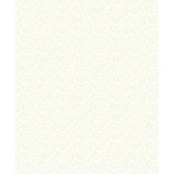 Papel de Parede 6302 Papel de Parede 6302