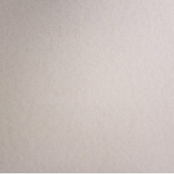 Papel de Parede SN1108