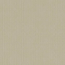 Papel de Parede VC 0503