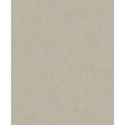Papel de Parede VC 0504 Papel de Parede VC 0504