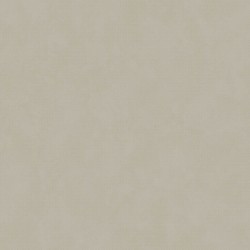 Papel de Parede VC 0504