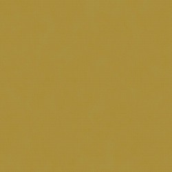 Papel de Parede VC 0505