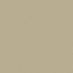 Papel de Parede VC 0603