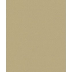 Papel de Parede VC 1307