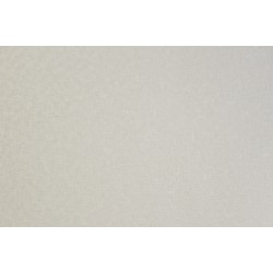 Papel de Parede WM190303040