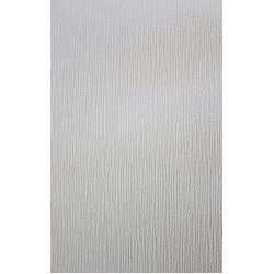 Papel de Parede SD9956