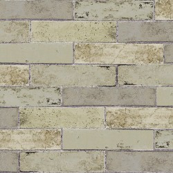 Papel de Parede NF8E012 Papel de Parede NF8E012